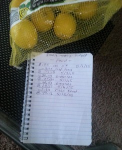 When life throws you lemons, make a budget